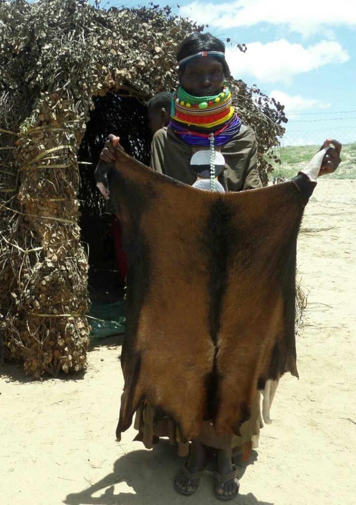 turkana lady holding a goat hide