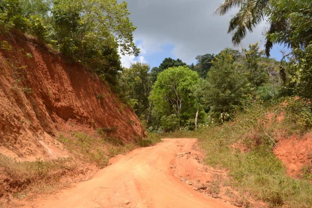 Magoroto Forest Estate