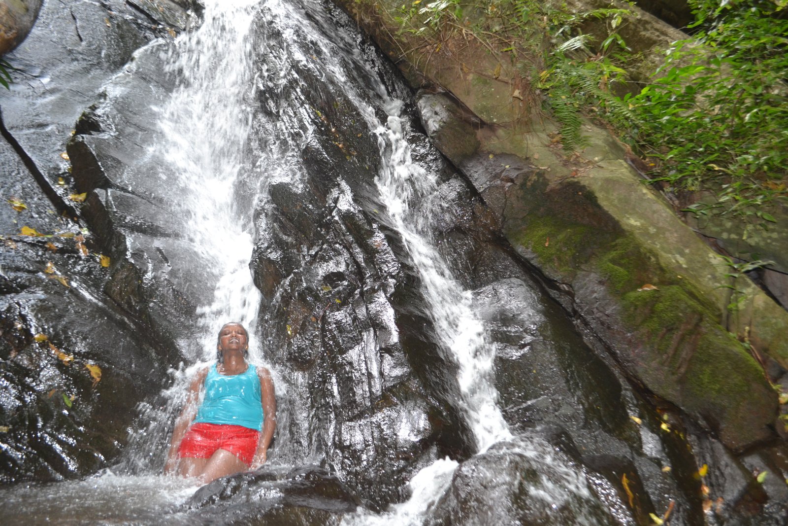 Magoroto Forest Estate, Tanga, Tanzania
