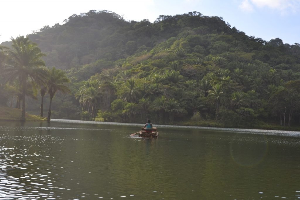 Magoroto Forest Estate