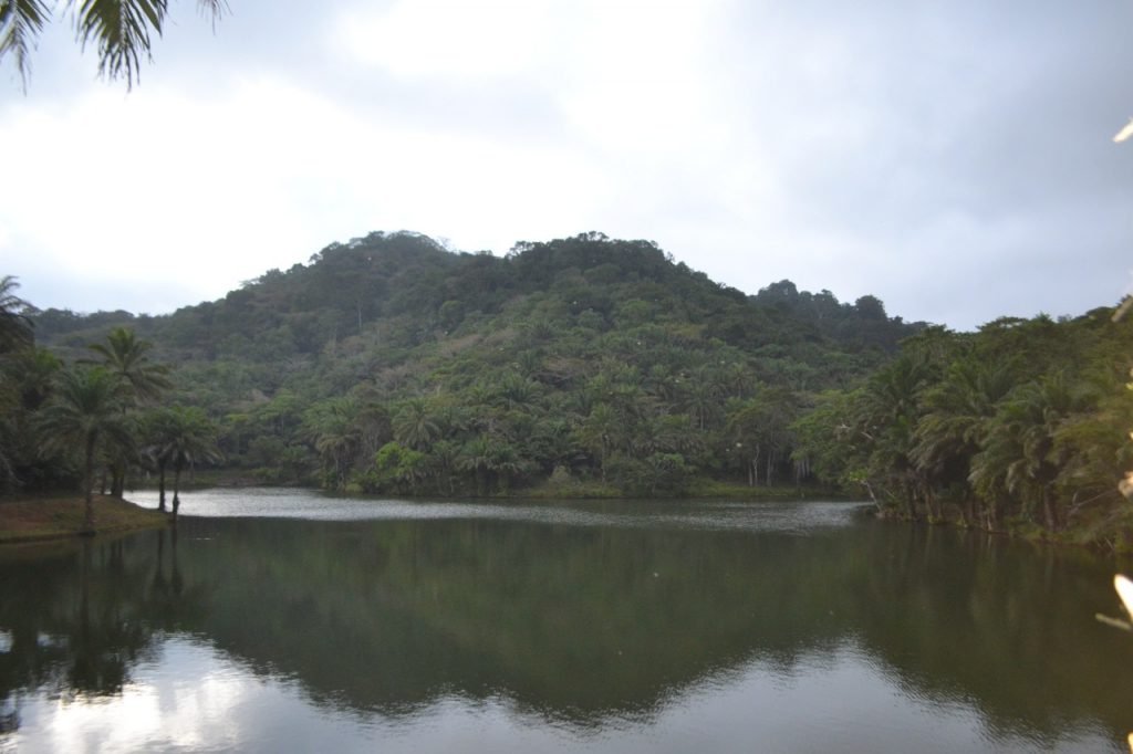 Magoroto Forest Estate, Tanga, Tanzania